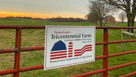 Hidden View Farm tricentennial farm