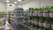 packaged Easter baskets.