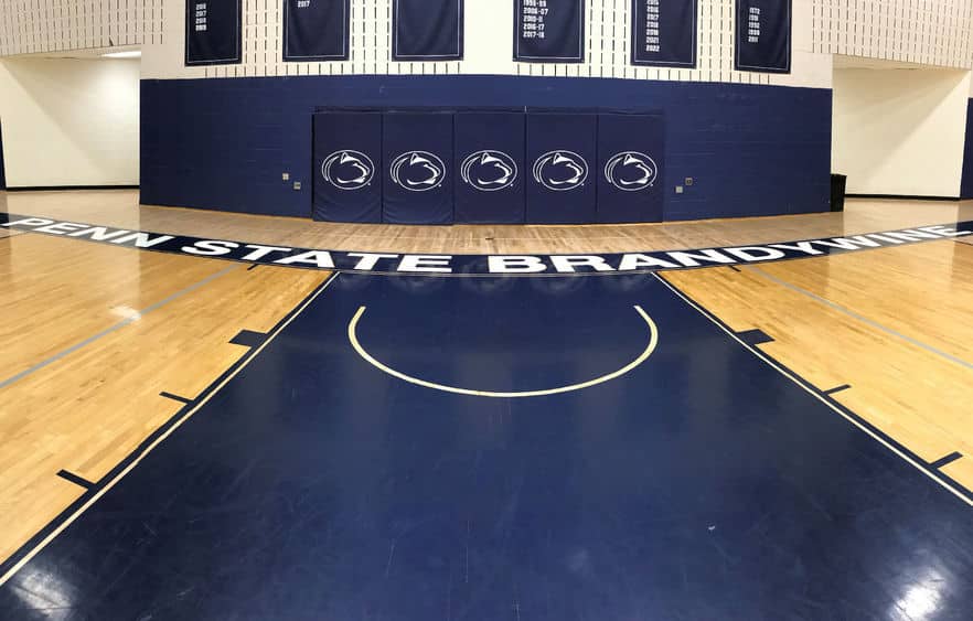 Penn State Brandywine’s Division III Provisional Membership Application has been approved by the NCAA.