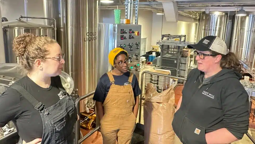 avery hookey and two other female brewers