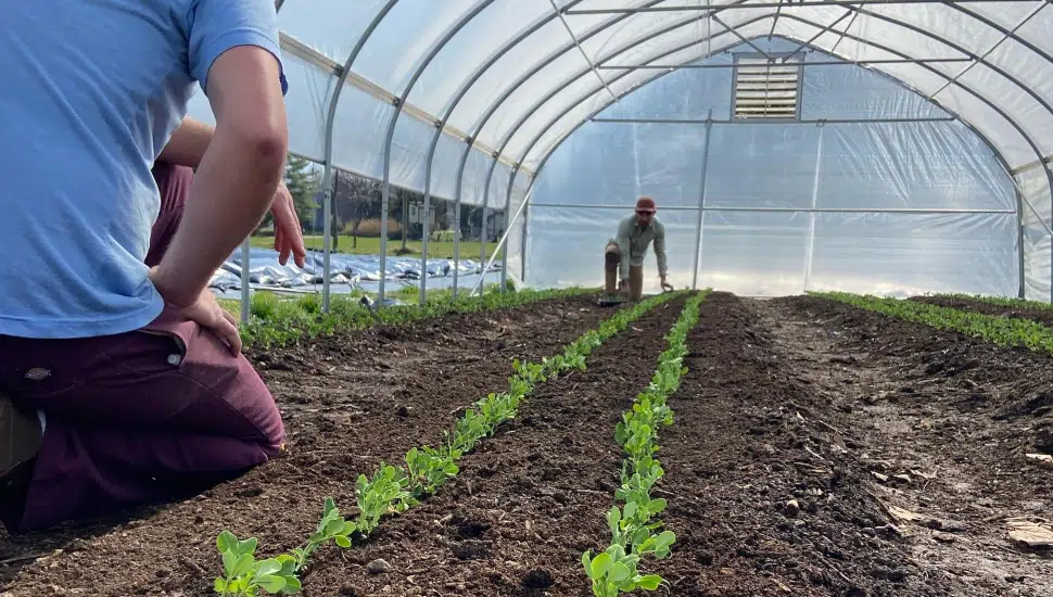 two farmers planting seeds