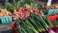 growers market vegetables
