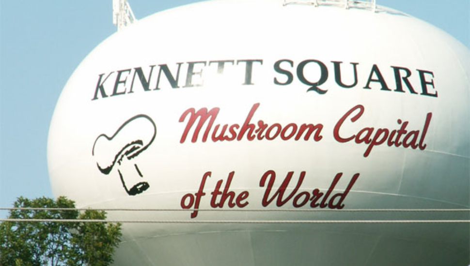 One of Pennsylvania’s Best Places to Live is The ‘Mushroom Capital of the World’