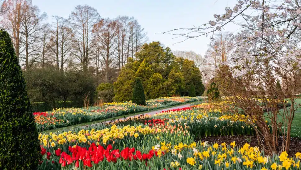 longwood gardens spring