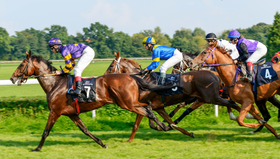 steeplechase racing
