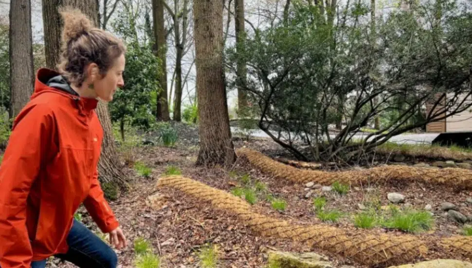 Landscaper Lucy Dinsmore in nature