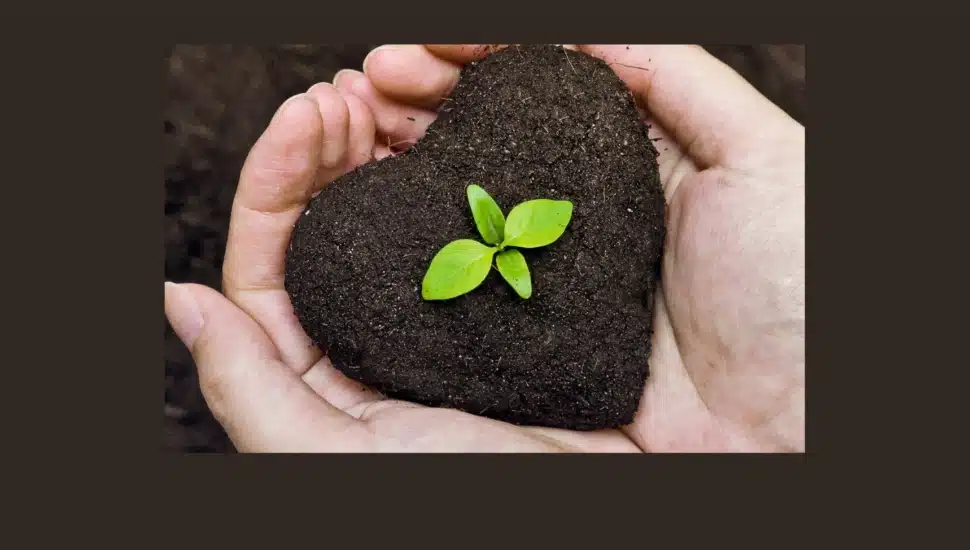 Hands holding soil shaped like a heart with a bud blooming, indicating community growth/health.