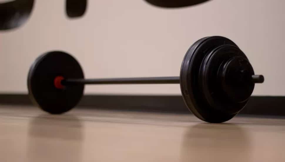 barbell.