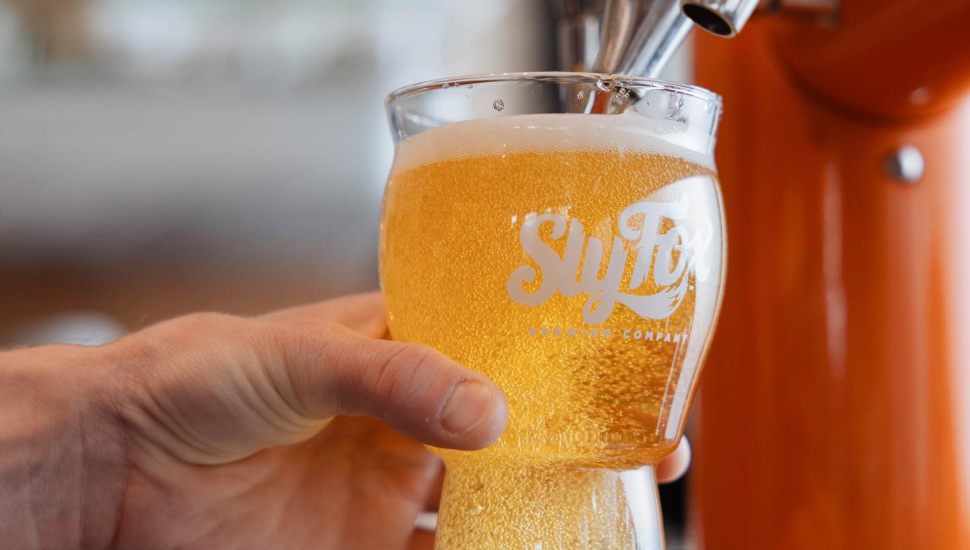 sly fox brewing beer