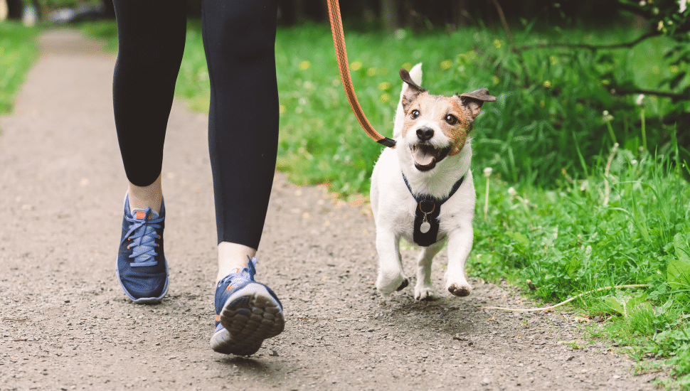 woman walking dog on trail