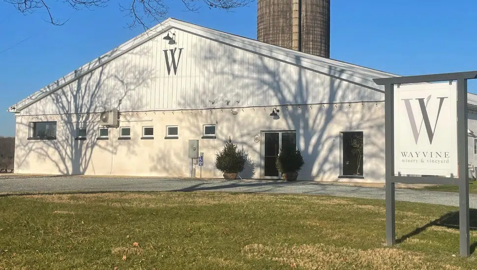 Wayvine Winery,