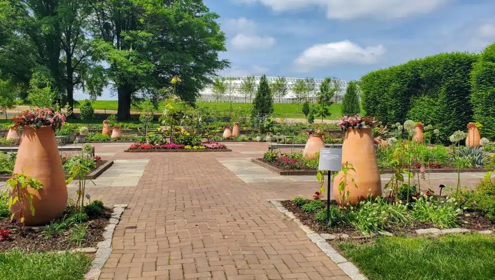 idea garden