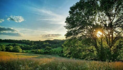 Crow's Nest Preserve