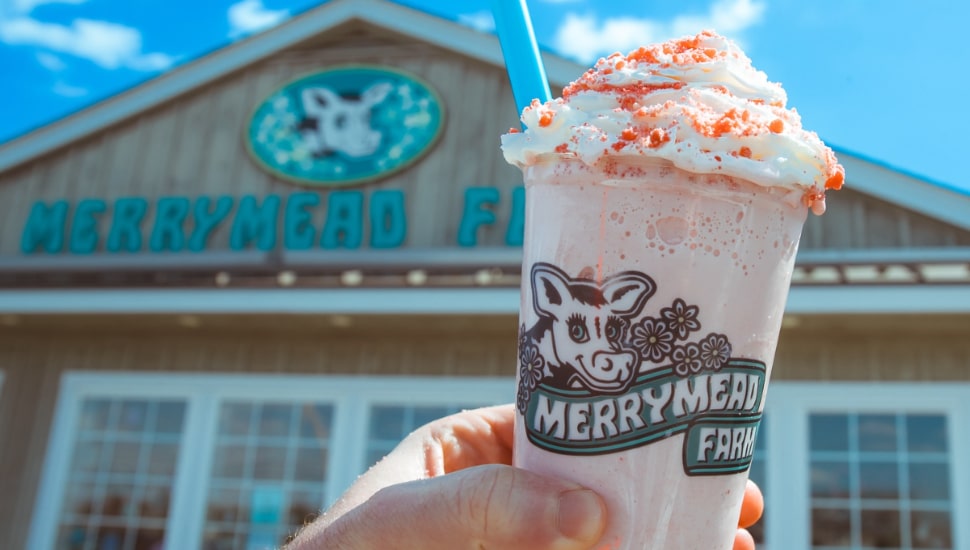 Merrymead Farm