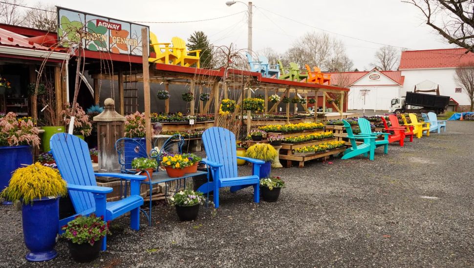 Pughtown Agway garden center