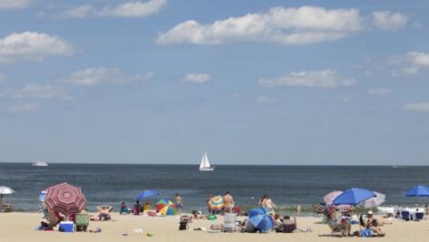 beach with people