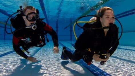 divers practicing in swimming pool