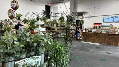 plant store