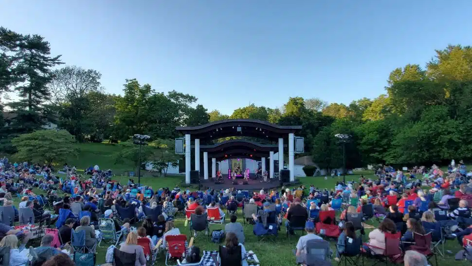 Rose Tree Summer Festival