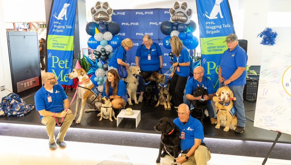 stress relief dogs and their handlers