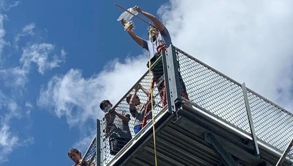 kids dropping egg from height