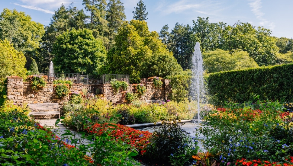 longwood garden and a fountain
