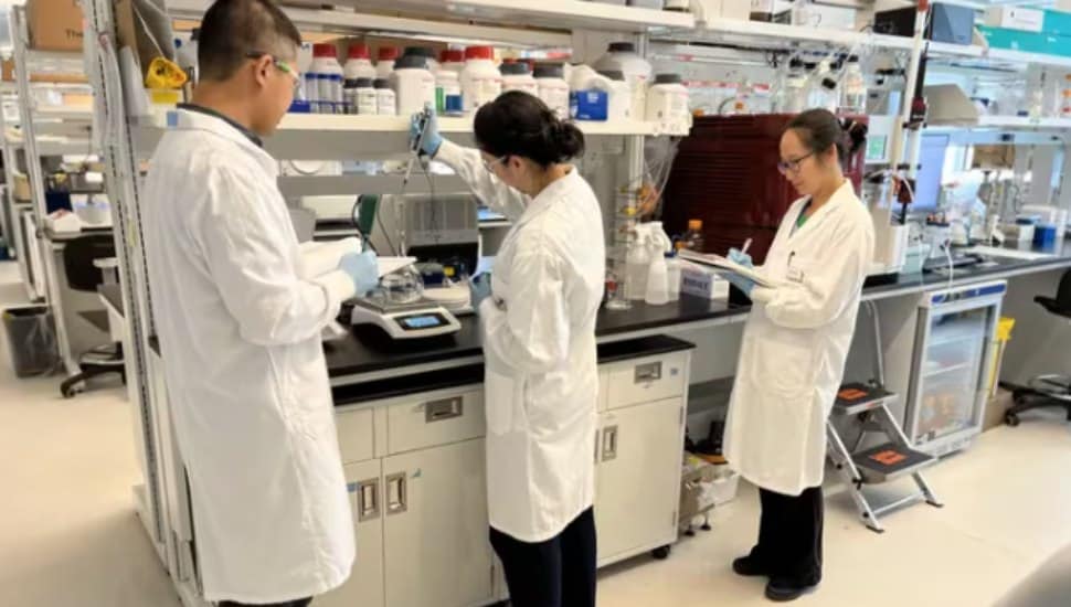Researchers