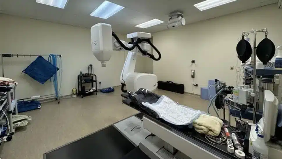 Malvern Gets First of Its Kind Medical Procedure at Veterinary Hospital