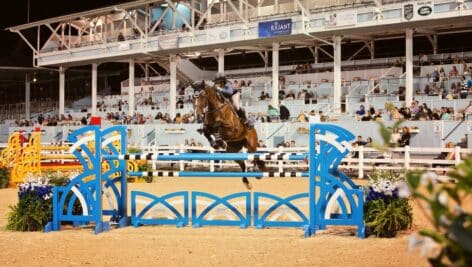 horse jumping at devon fall classic