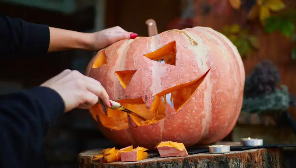 person carving pumpkin