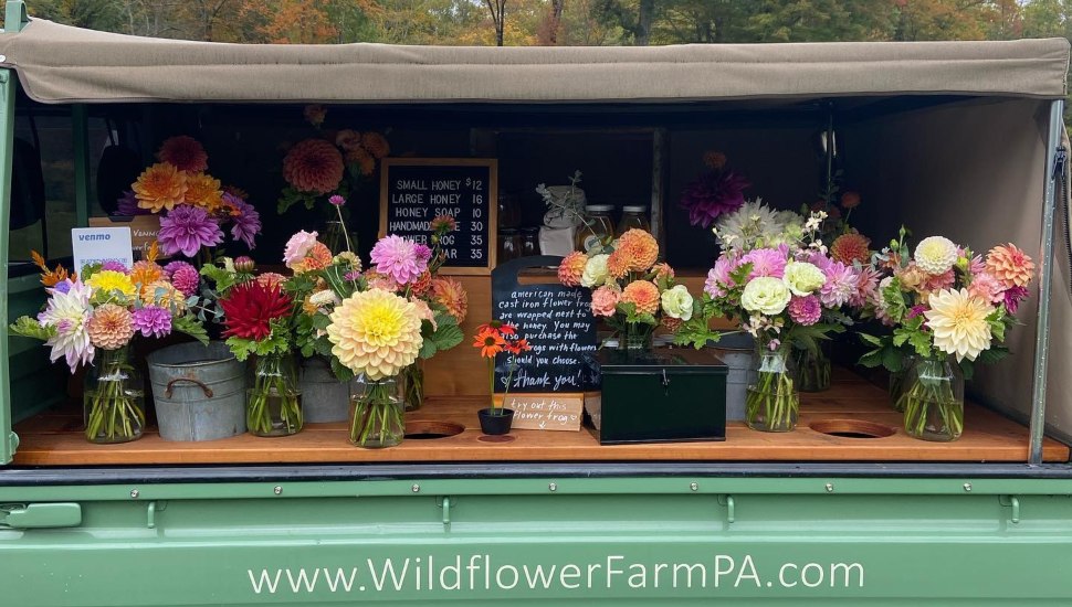 When This Local Couple Opened Wildflower Farm, They Had No Idea What It Would Lead To