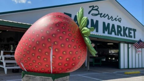 giant strawberry in front of farm market