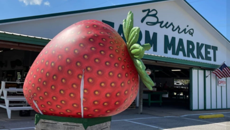 giant strawberry in front of farm market