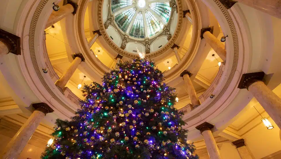 Immaculata University Will Host Christmas Meet-and-Greet for Prospective Students Dec. 5