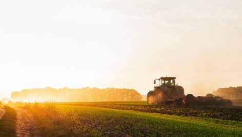 farm view