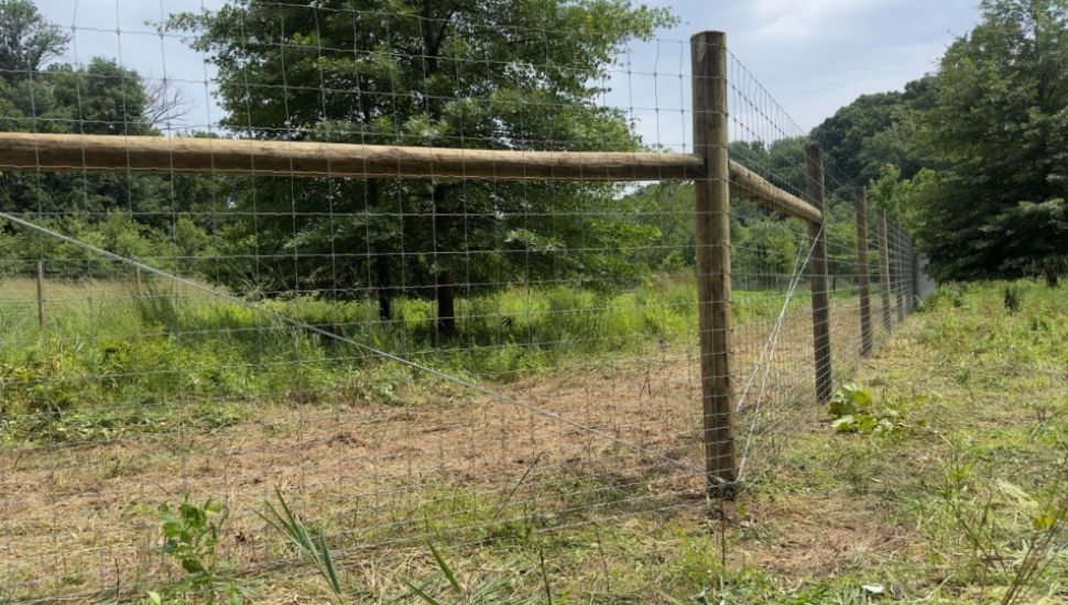 tall fence in nature preserve