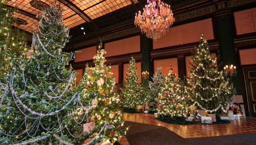 christmas trees at longwood