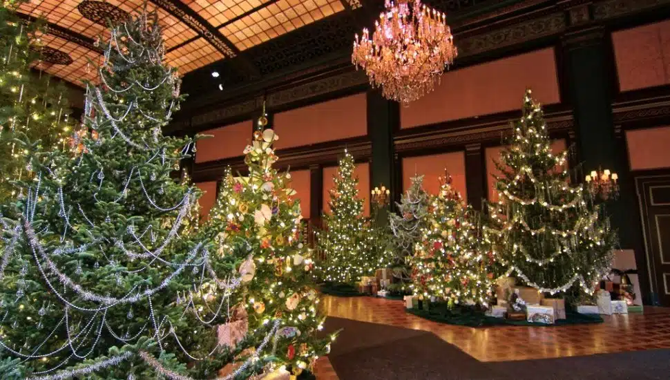 christmas trees at longwood