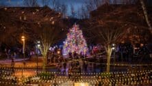 The tree lighting at Eagleview Town Center's Holiday Spectacular.