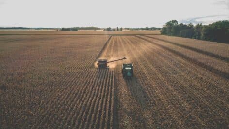 Tractor harvesting corn in crop field.