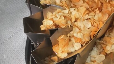 Potato chips in a factory.