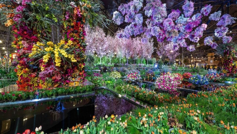Flowers and lights arranged around indoor pools.