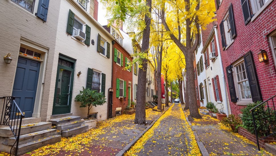 Alley with yellow leaves and townhomes.