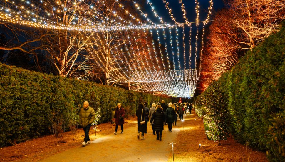 People walking under string lights at night at Longwood Gardens.
