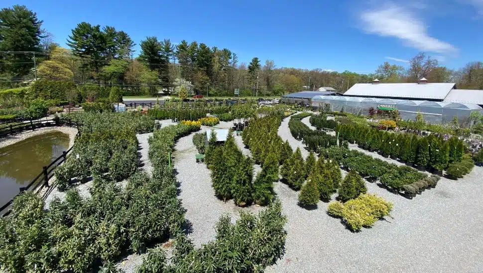 Get a Taste of Spring at Garden Centers, Plants Shops in Chester County