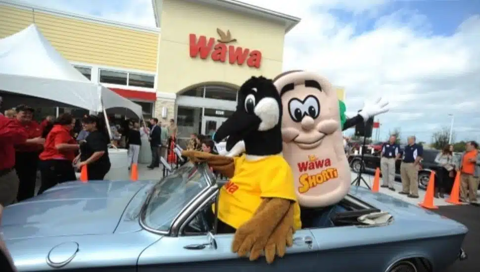 Wawa mascots in a car.