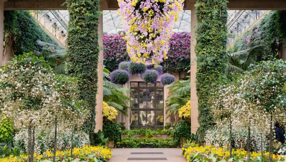 Flowers and greenery at Longwood Gardens.