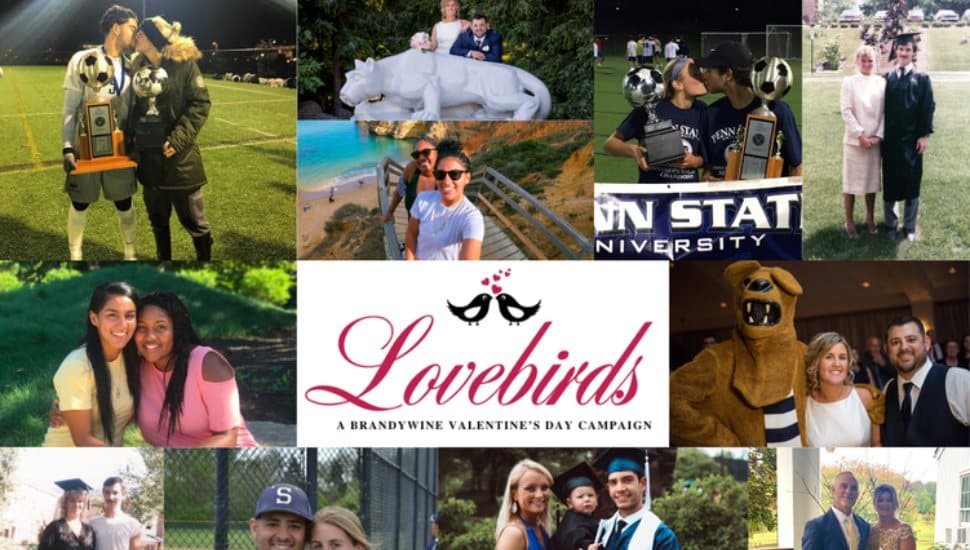 A collage of Penn State Brandywine couples.
