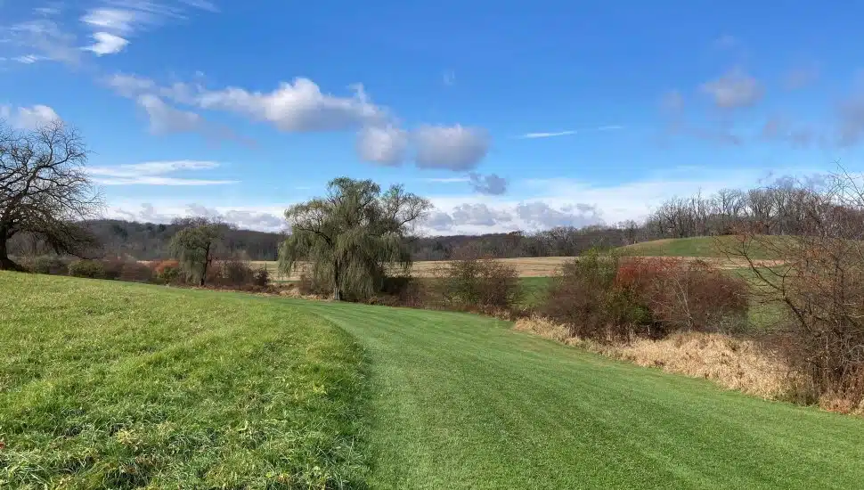 Open space with trees, green grass, and blue sky.