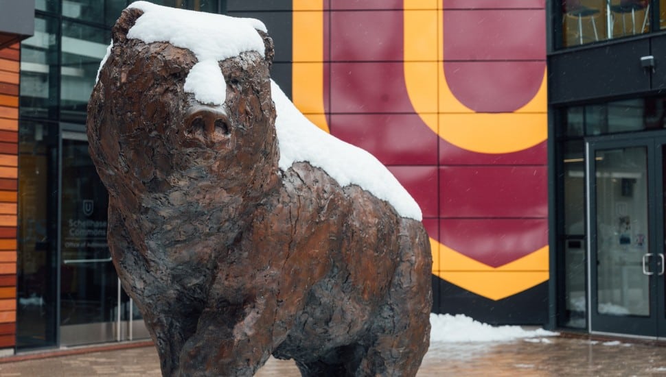 Ursinus bear statue.